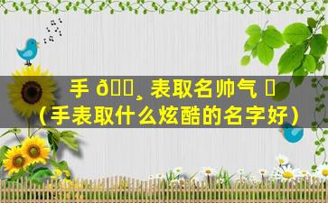 手 🌸 表取名帅气 ☘ （手表取什么炫酷的名字好）